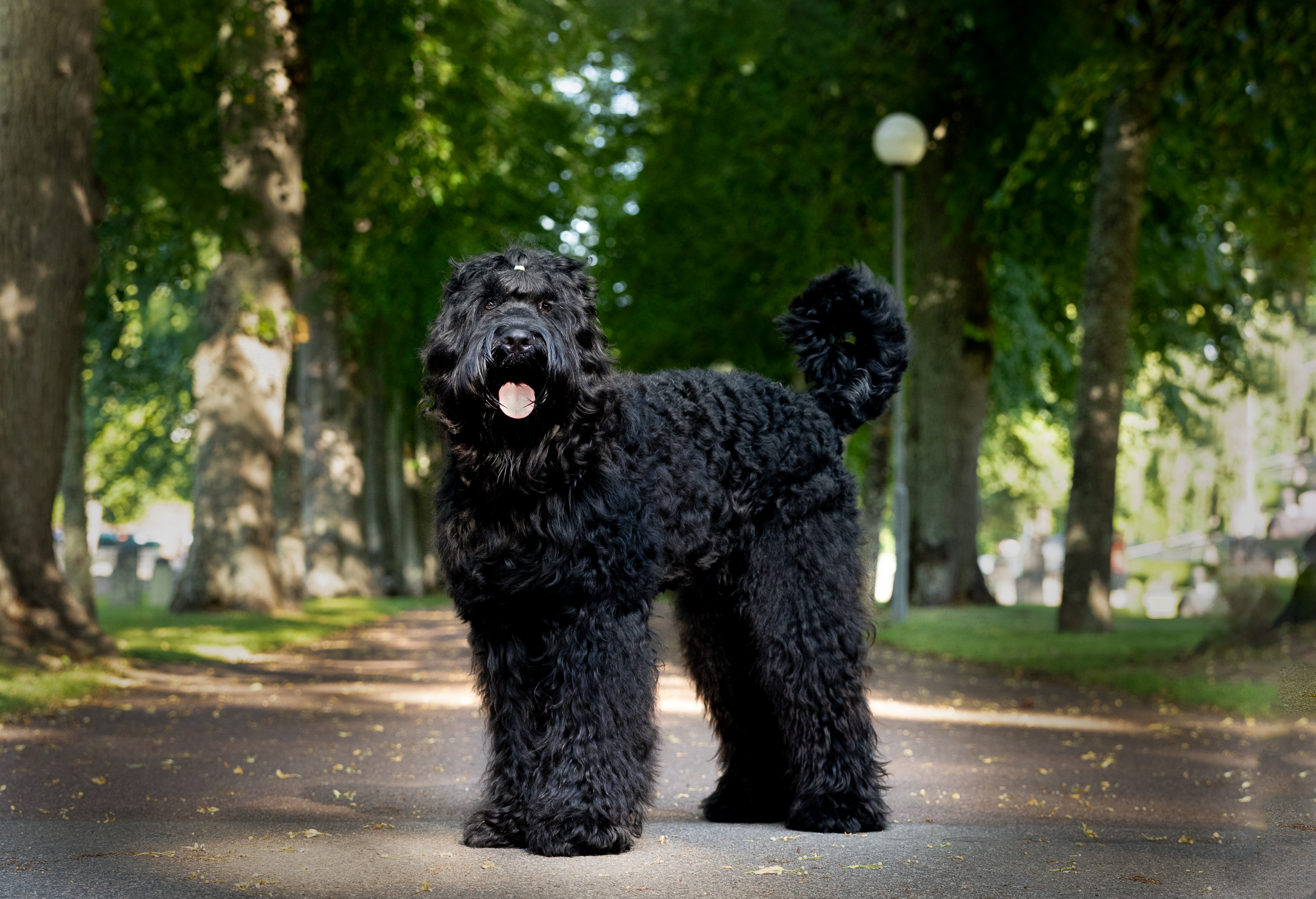 Erbjudande hösten 2025